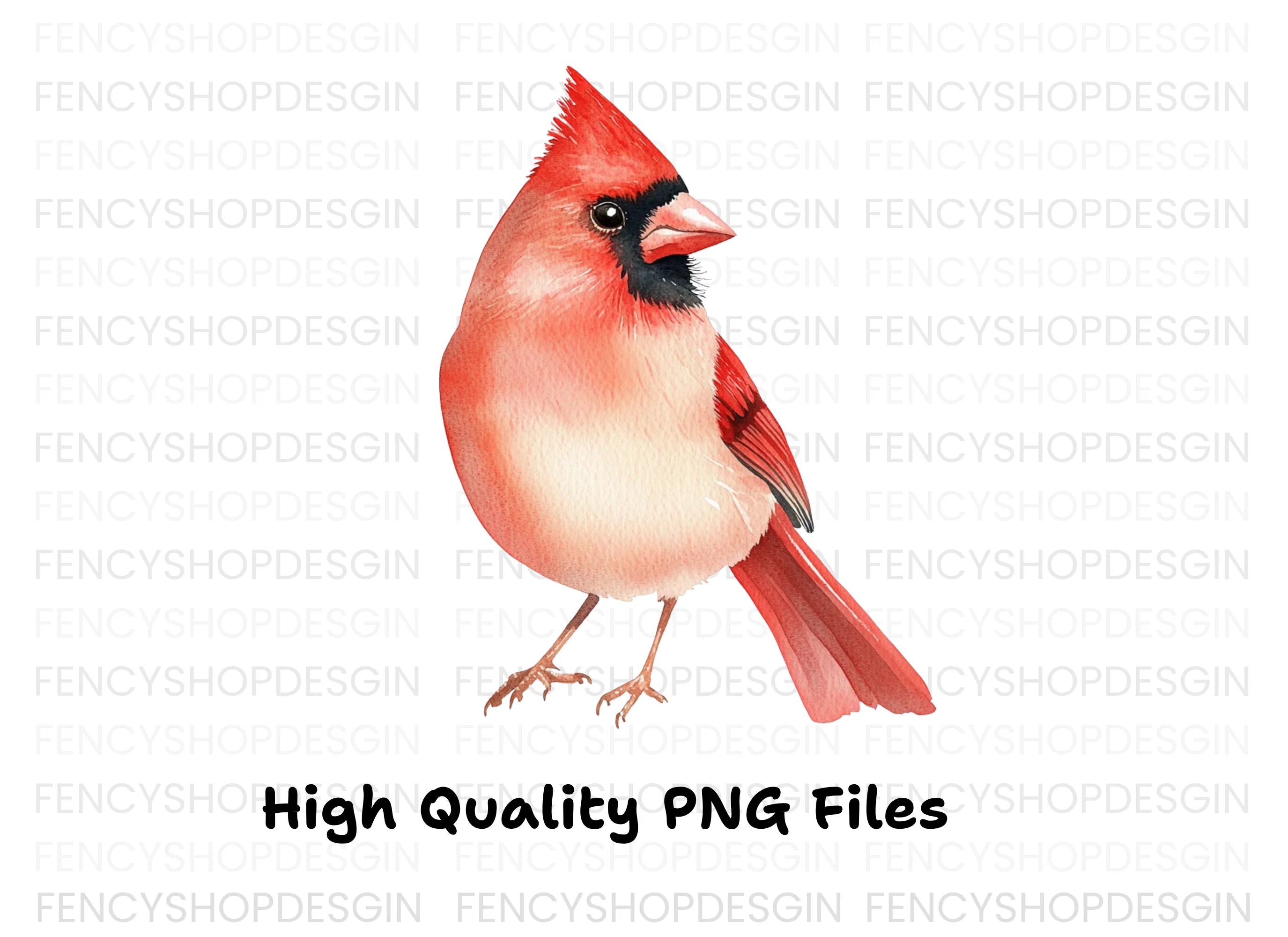 Cardinal Bird Clipart Bundle