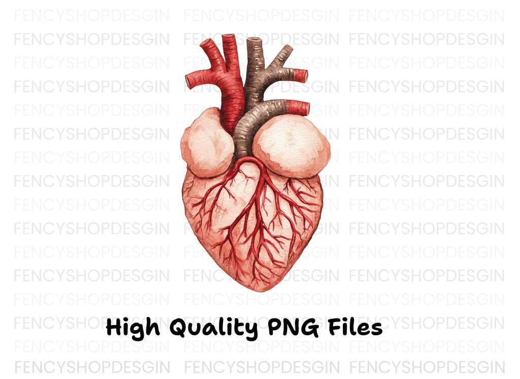 Anatomical Human Heart Clipart Bundle