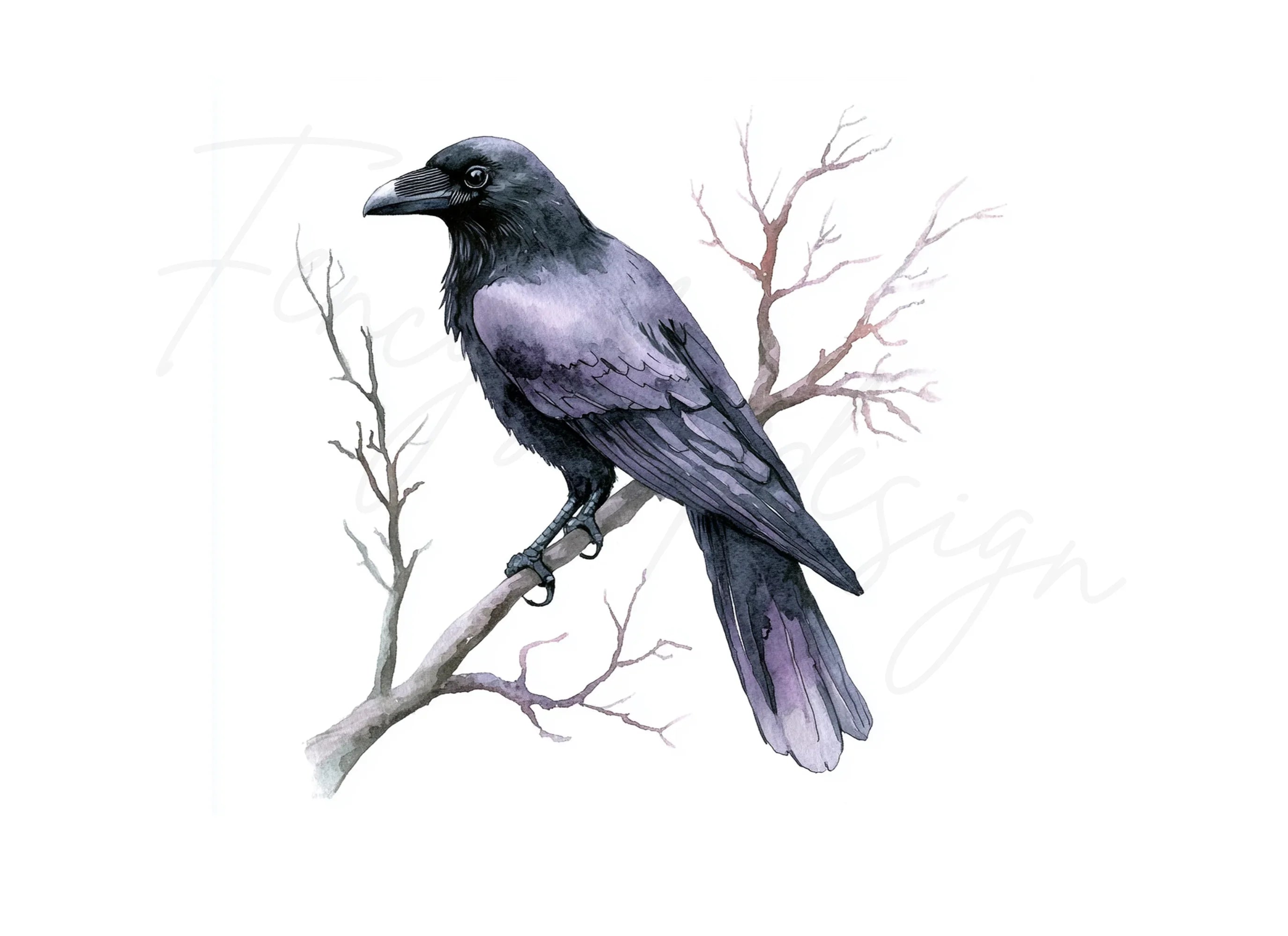 Black Crow Bird Clipart Bundle