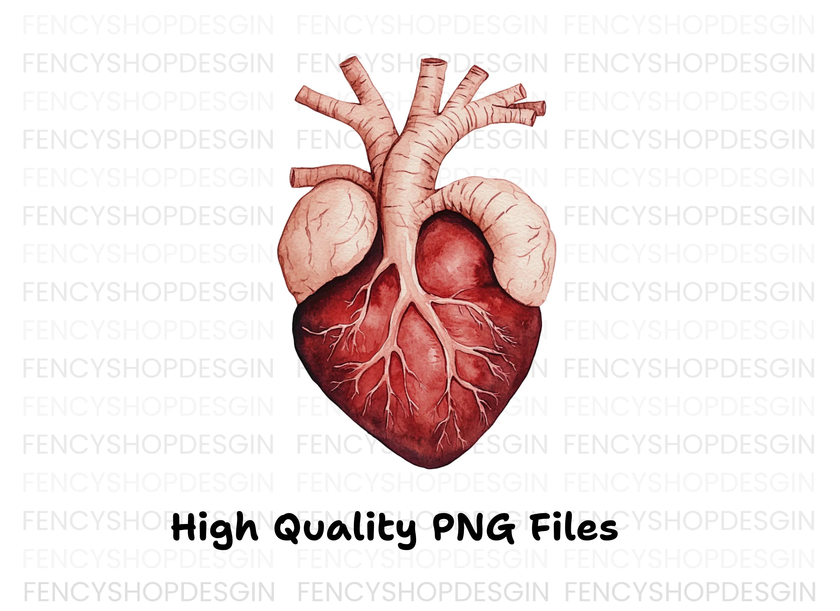 Anatomical Heart Clipart Bundle