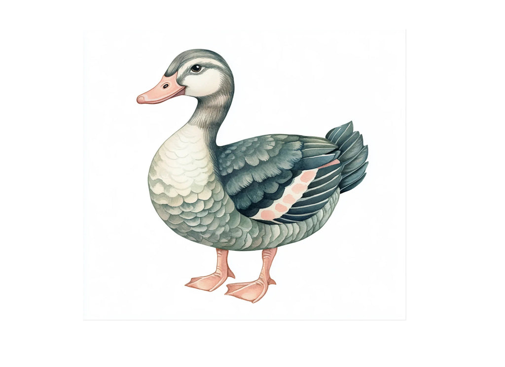 Mallard Duck Clipart Bundle