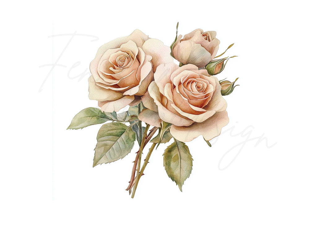 Elegant Cream Roses Clipart Bundle