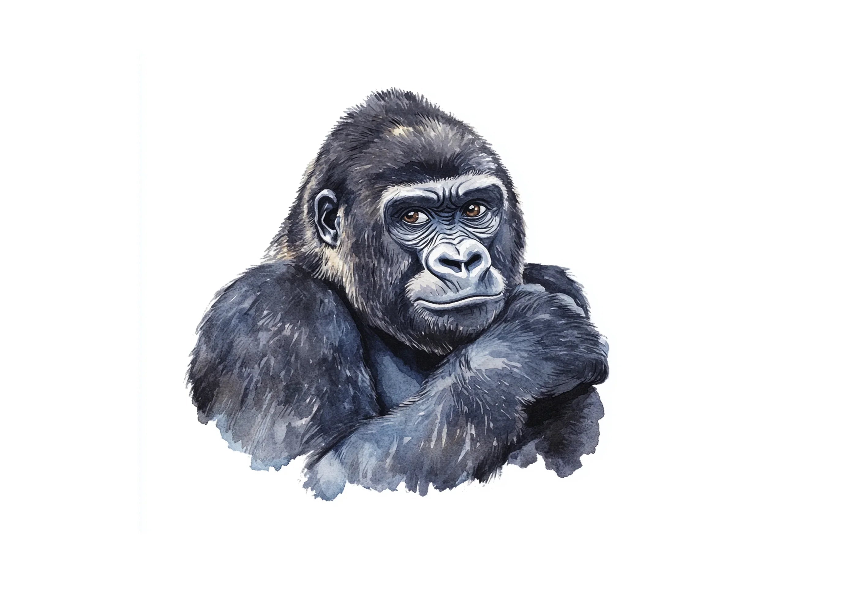 Gorilla Head Bust Clipart Bundle