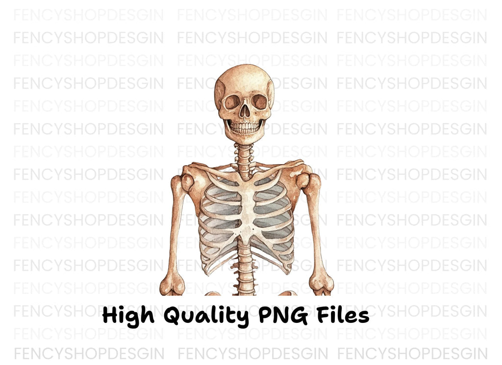 Human Skeleton Anatomy Clipart Bundle
