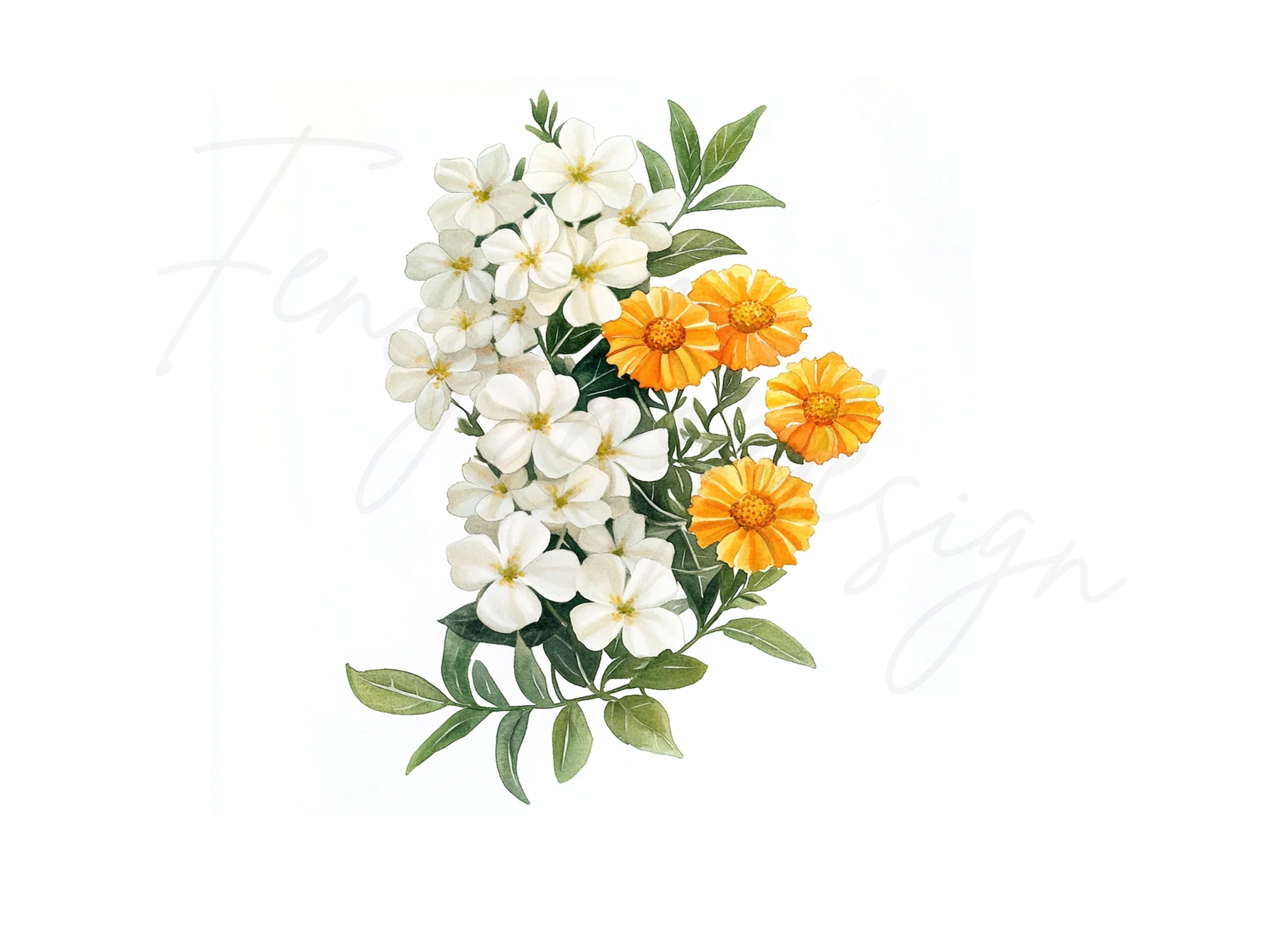 Orange and White Floral Clipart Bundle