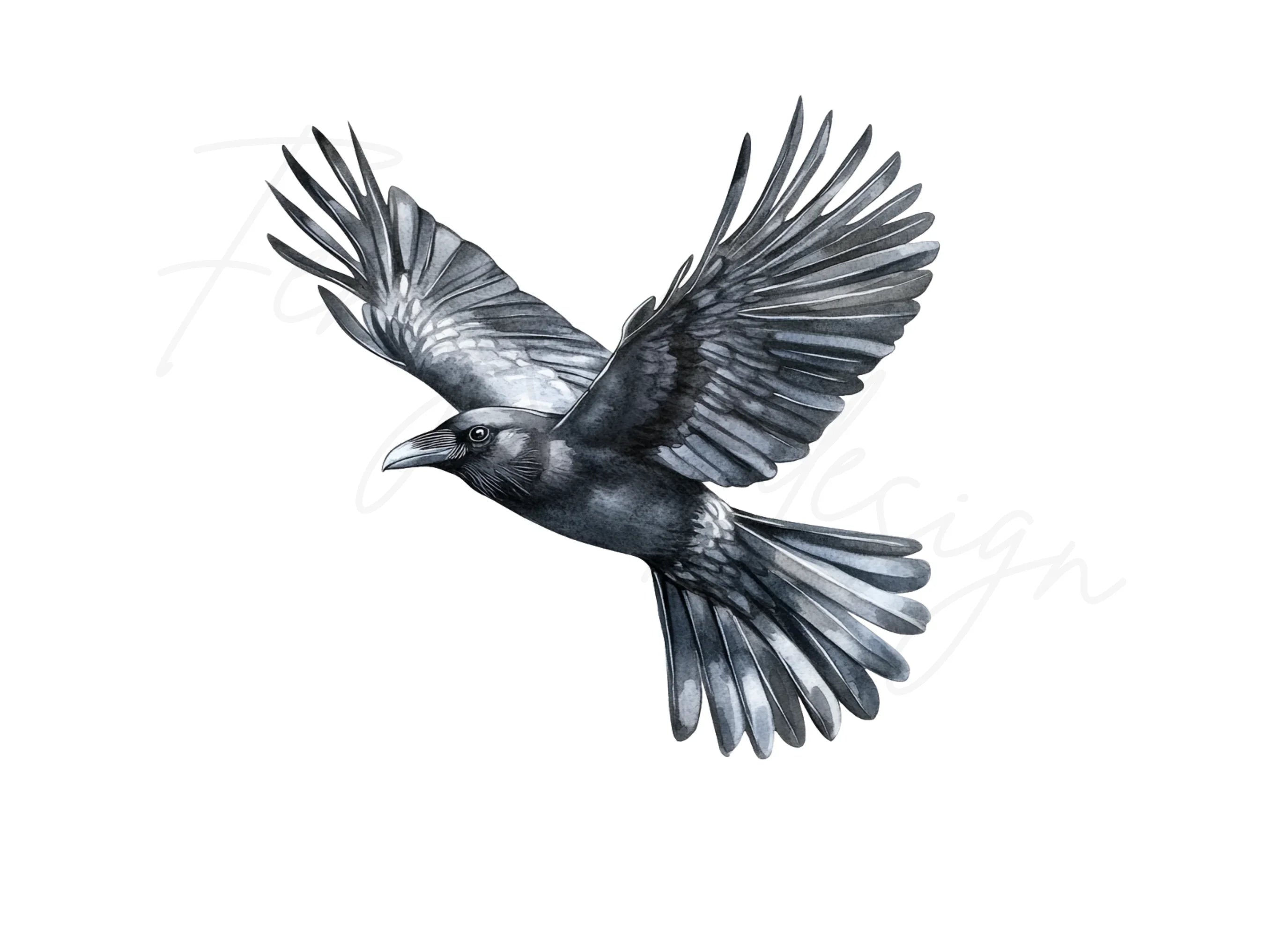 Flying Raven Clipart Bundle