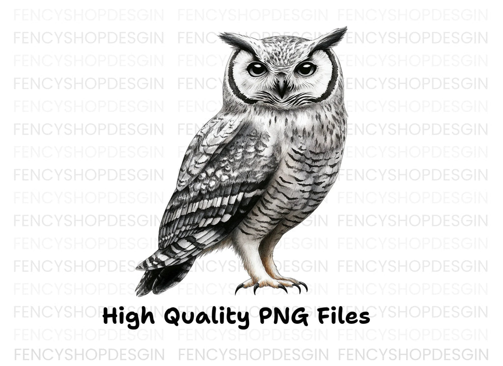 Wise Owl Clipart Bundle