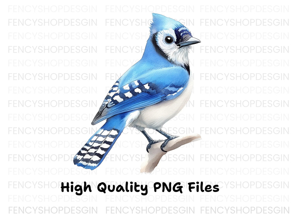 Realistic Blue Jay Perched Clipart Bundle