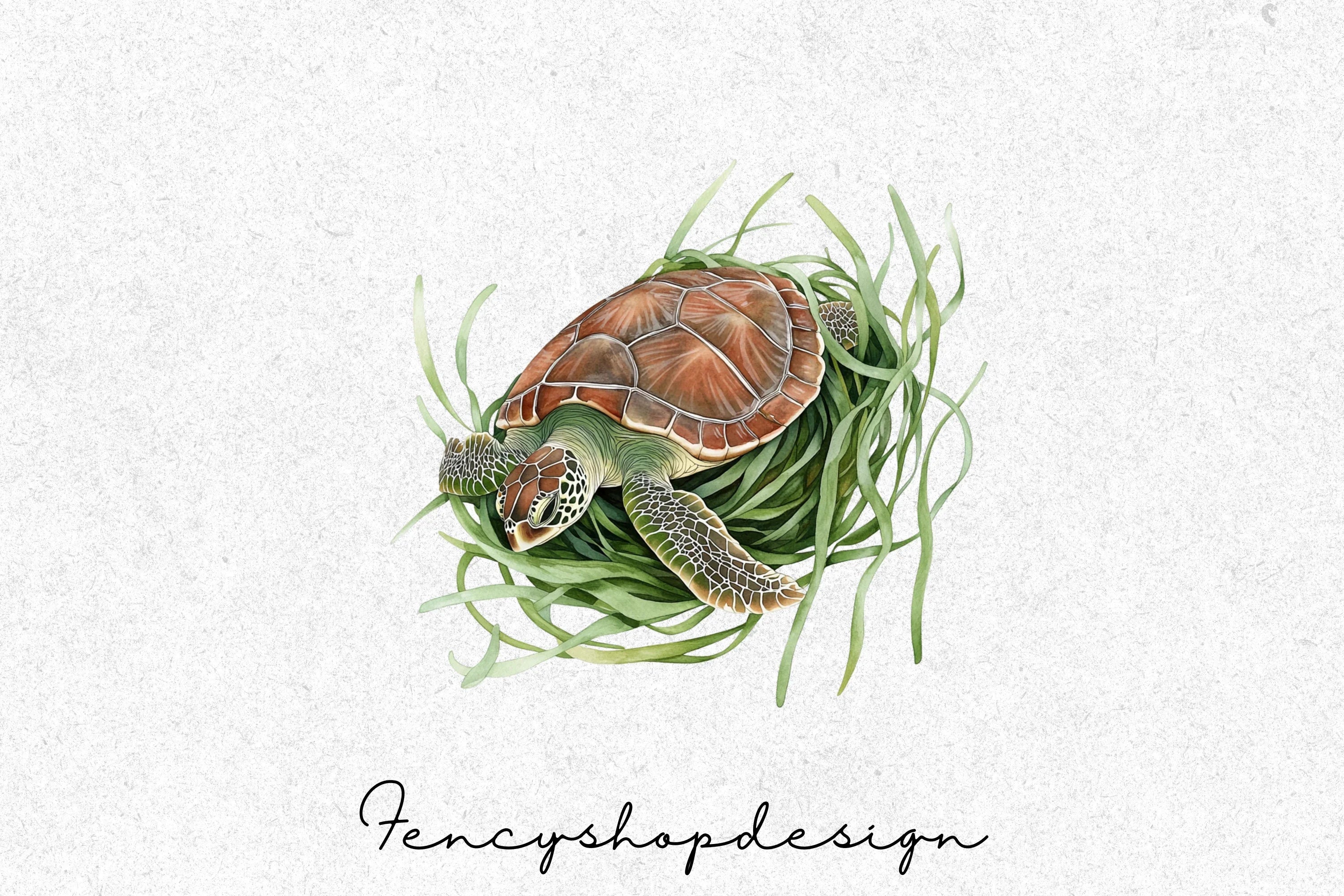 Marine Life Turtle and Dolphin Treasure Clipart Bundle