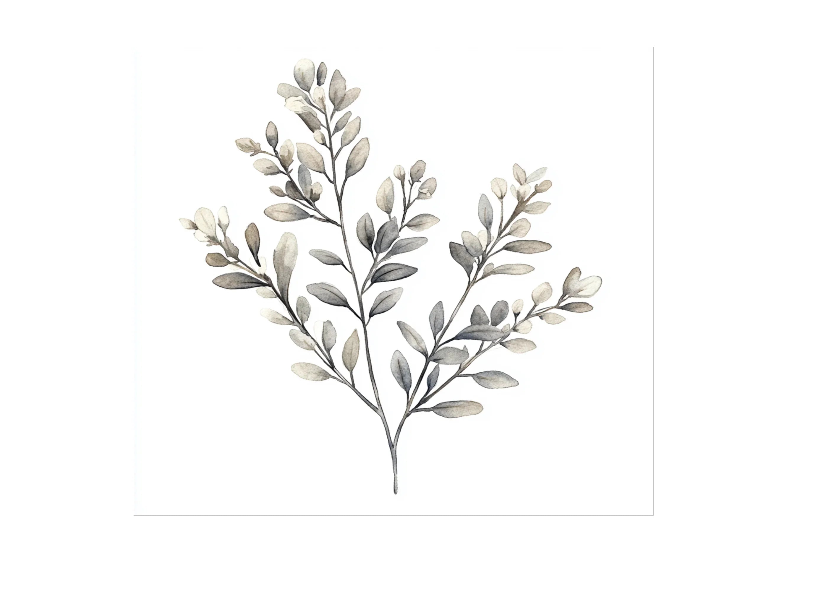 Elegant Leaves Clipart Bundle