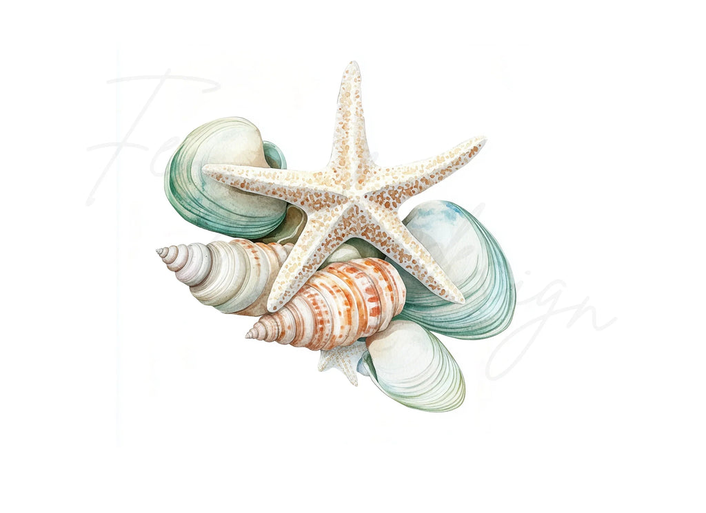 Starfish and Seashells Clipart Bundle