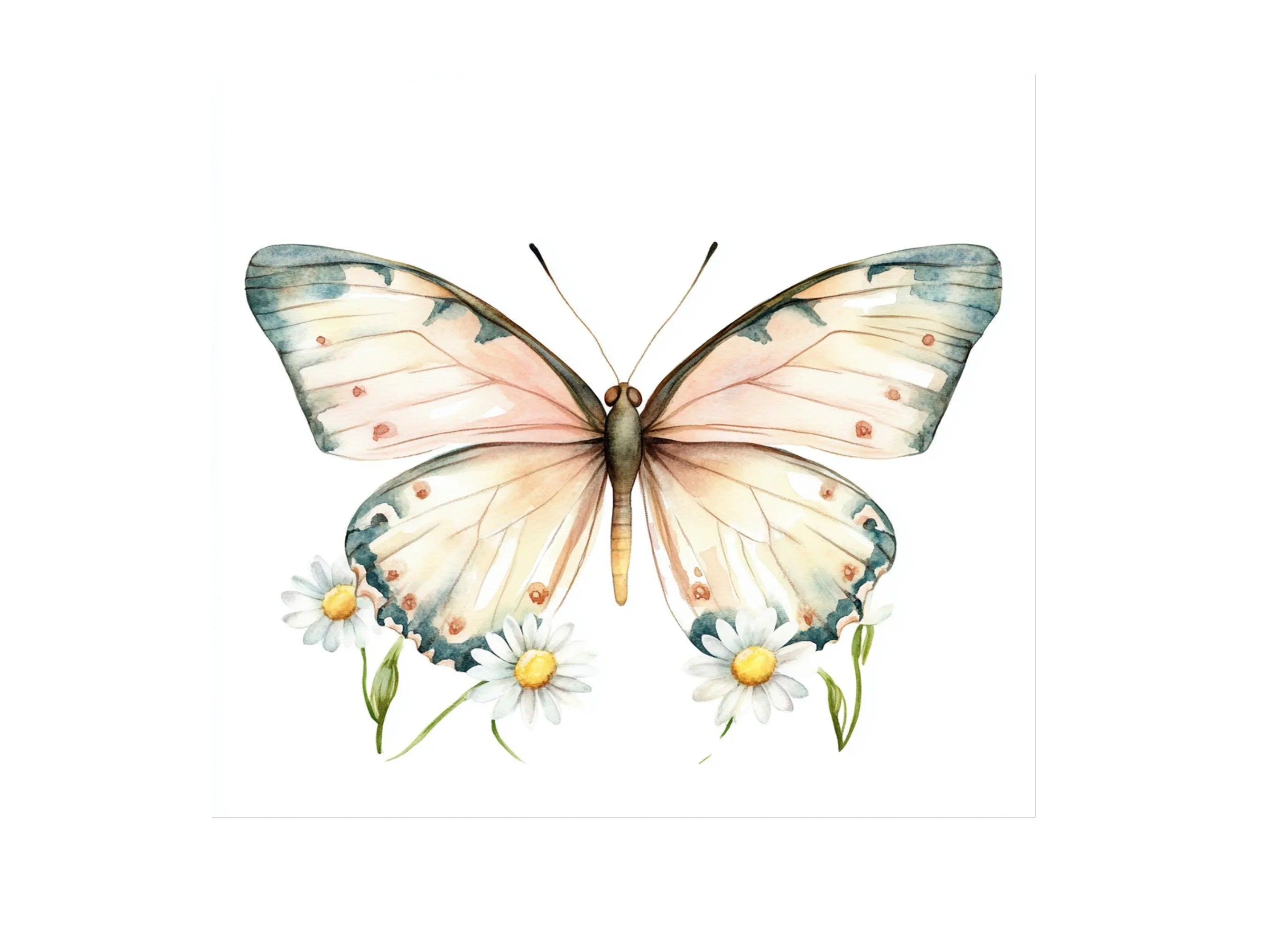 Butterflies and Daisies Clipart Bundle
