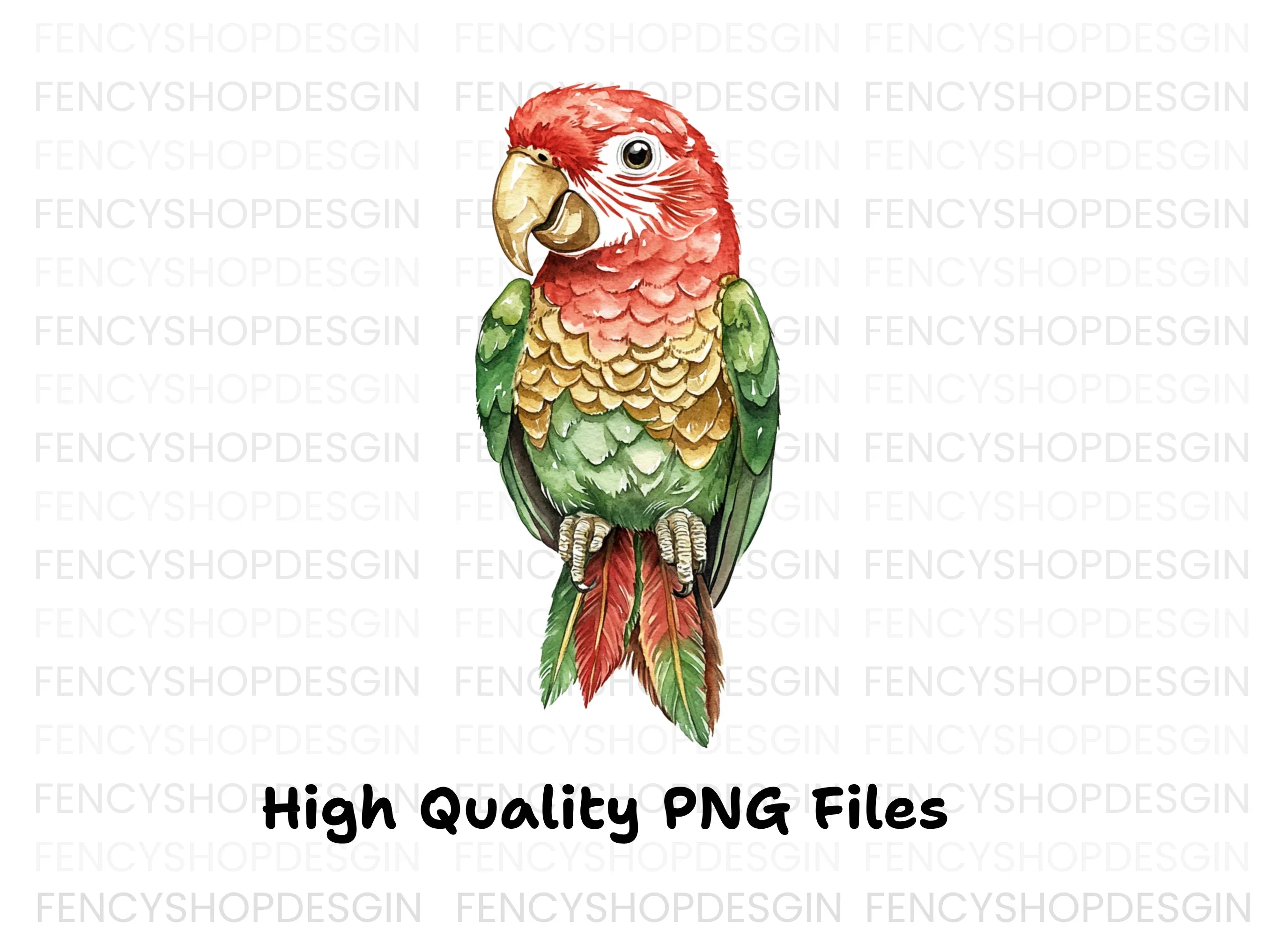Exotic Parrot Clipart Bundle