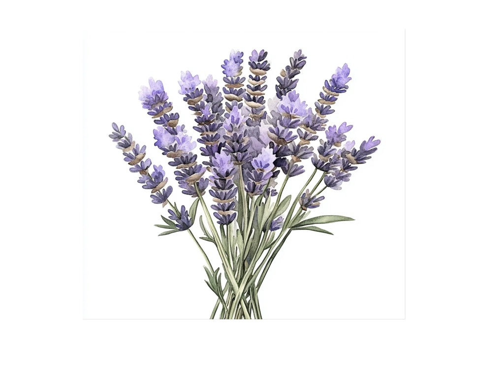 Lavender Bouquets Clipart Bundle