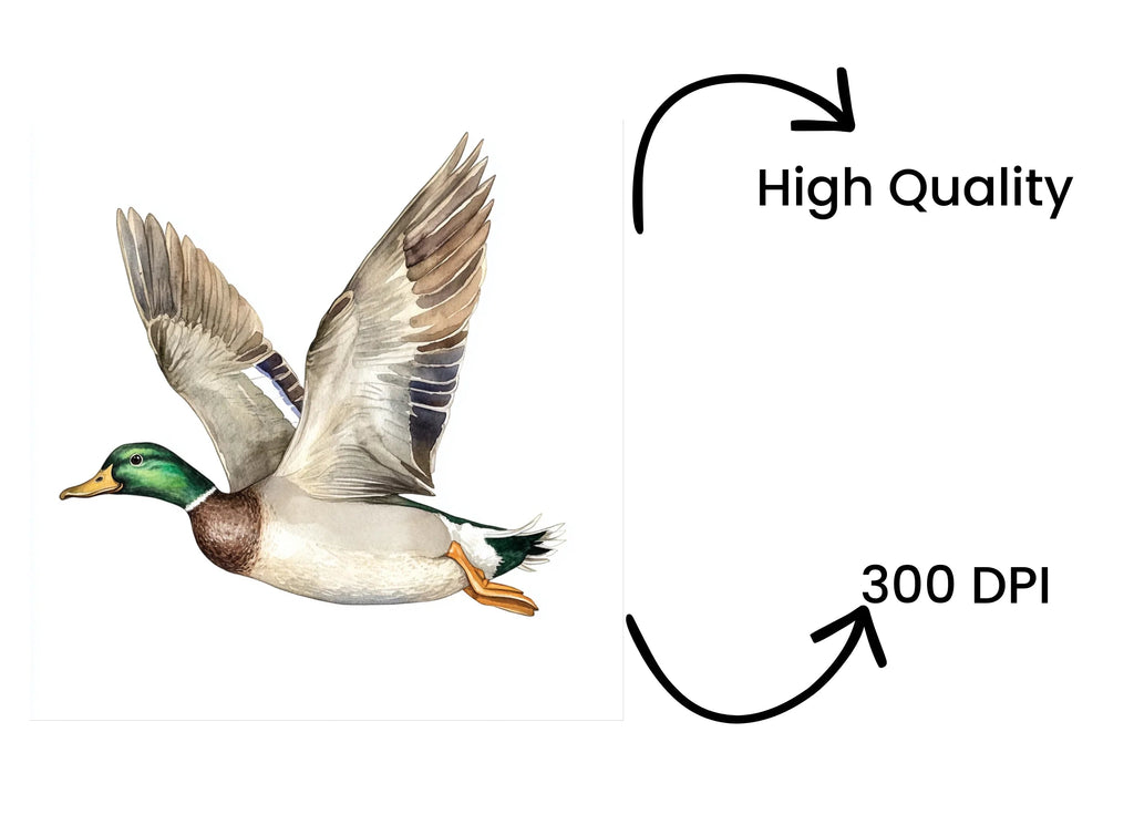 Flying Mallard Ducks Clipart Bundle