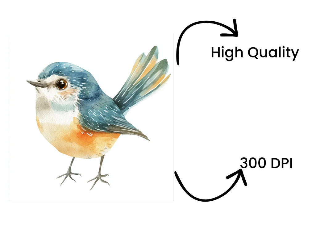Adorable Bird Illustrations Clipart Bundle