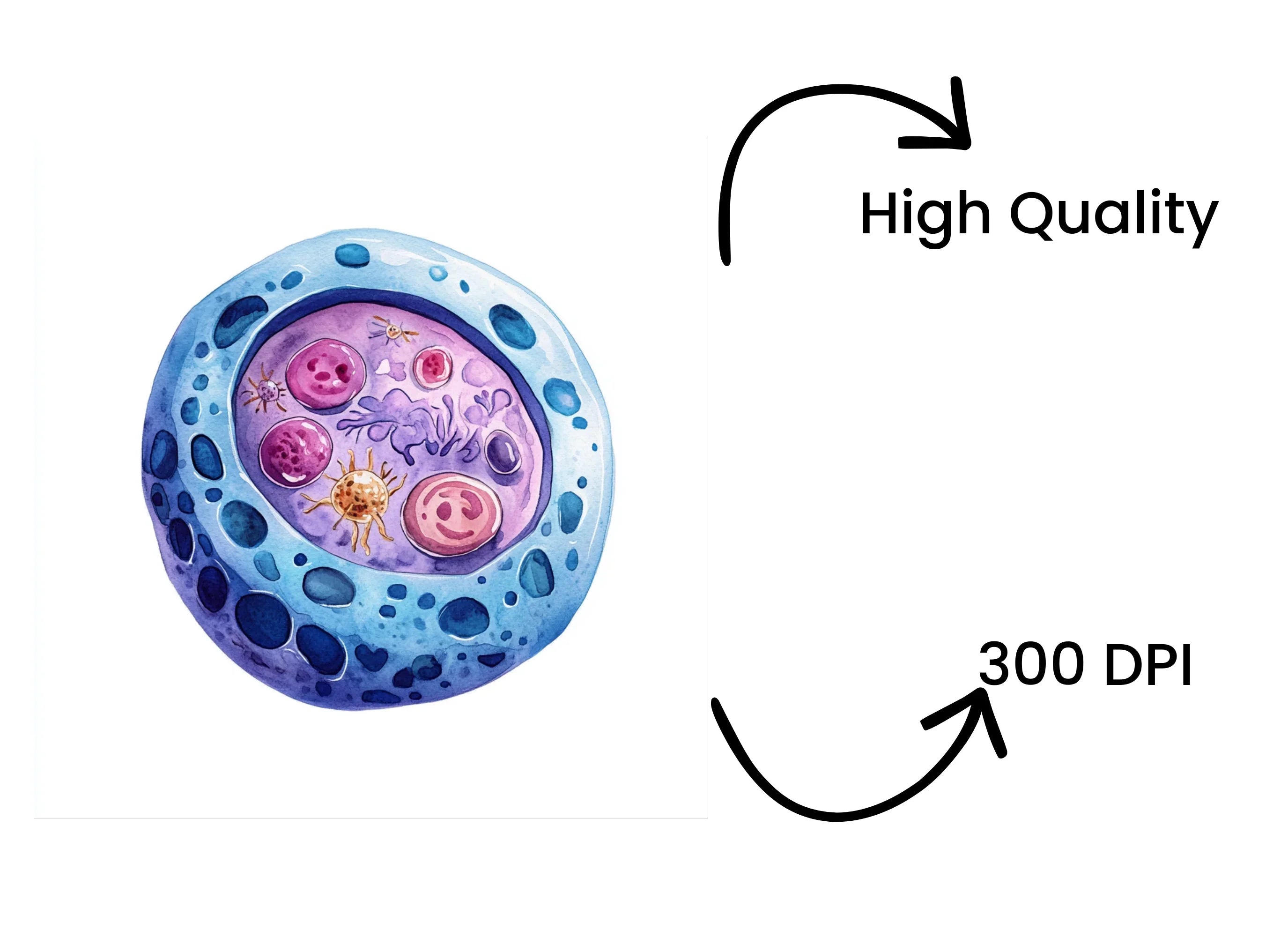 Microscopic Cell Structure Clipart Bundle