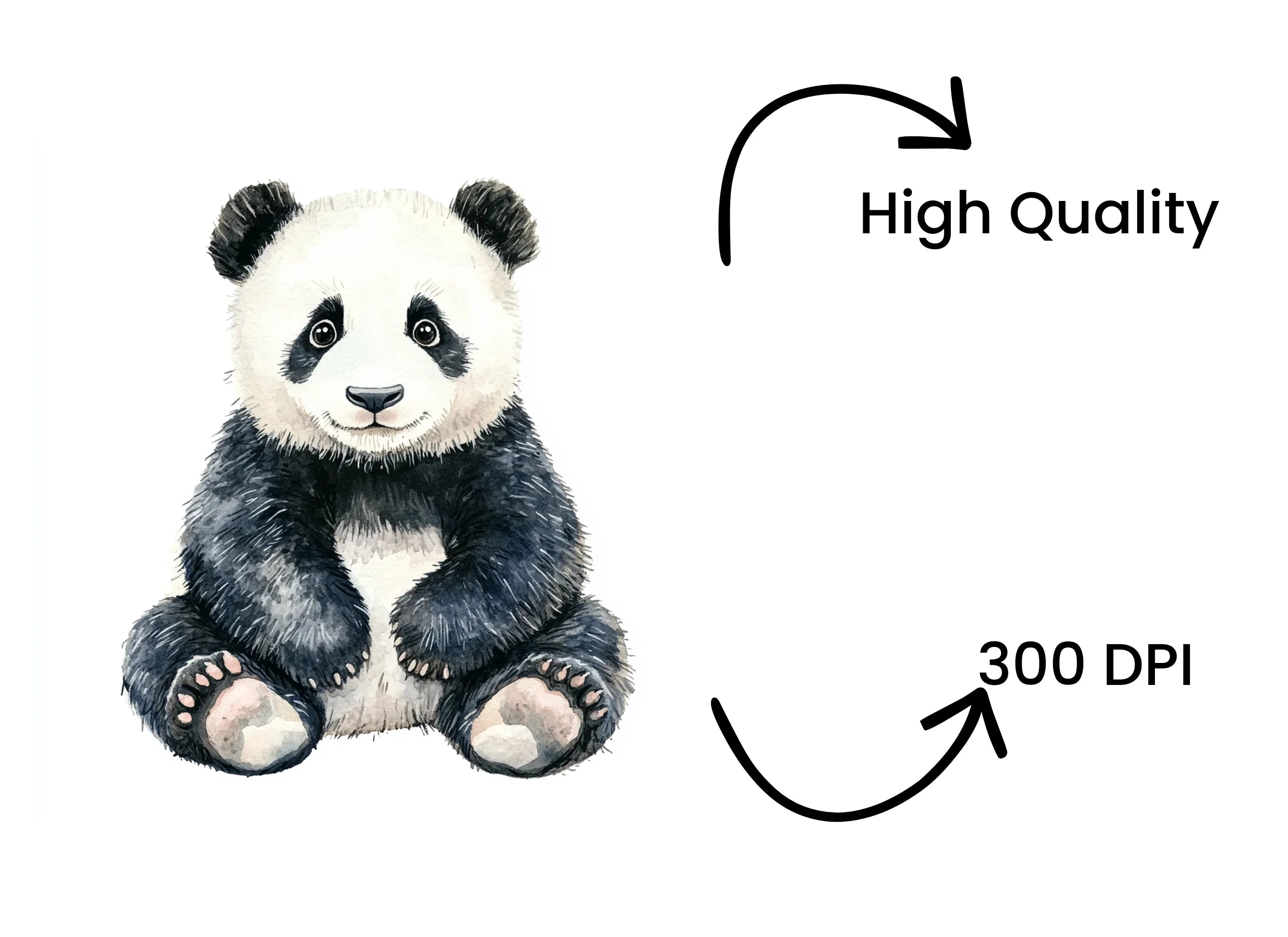 Cute Baby Panda Bear Clipart Bundle