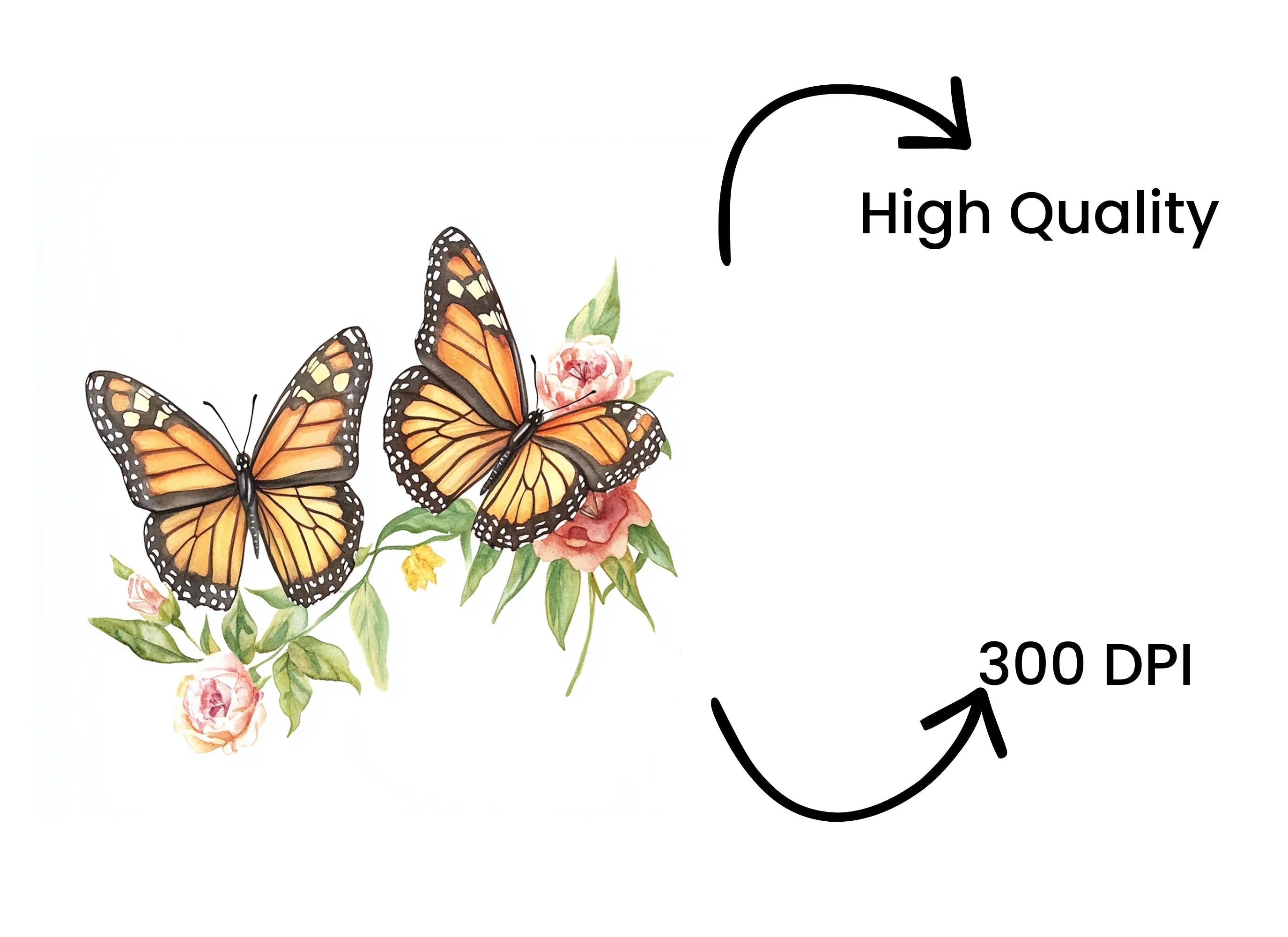 Monarch Butterflies and Pink Flowers Clipart Bundle