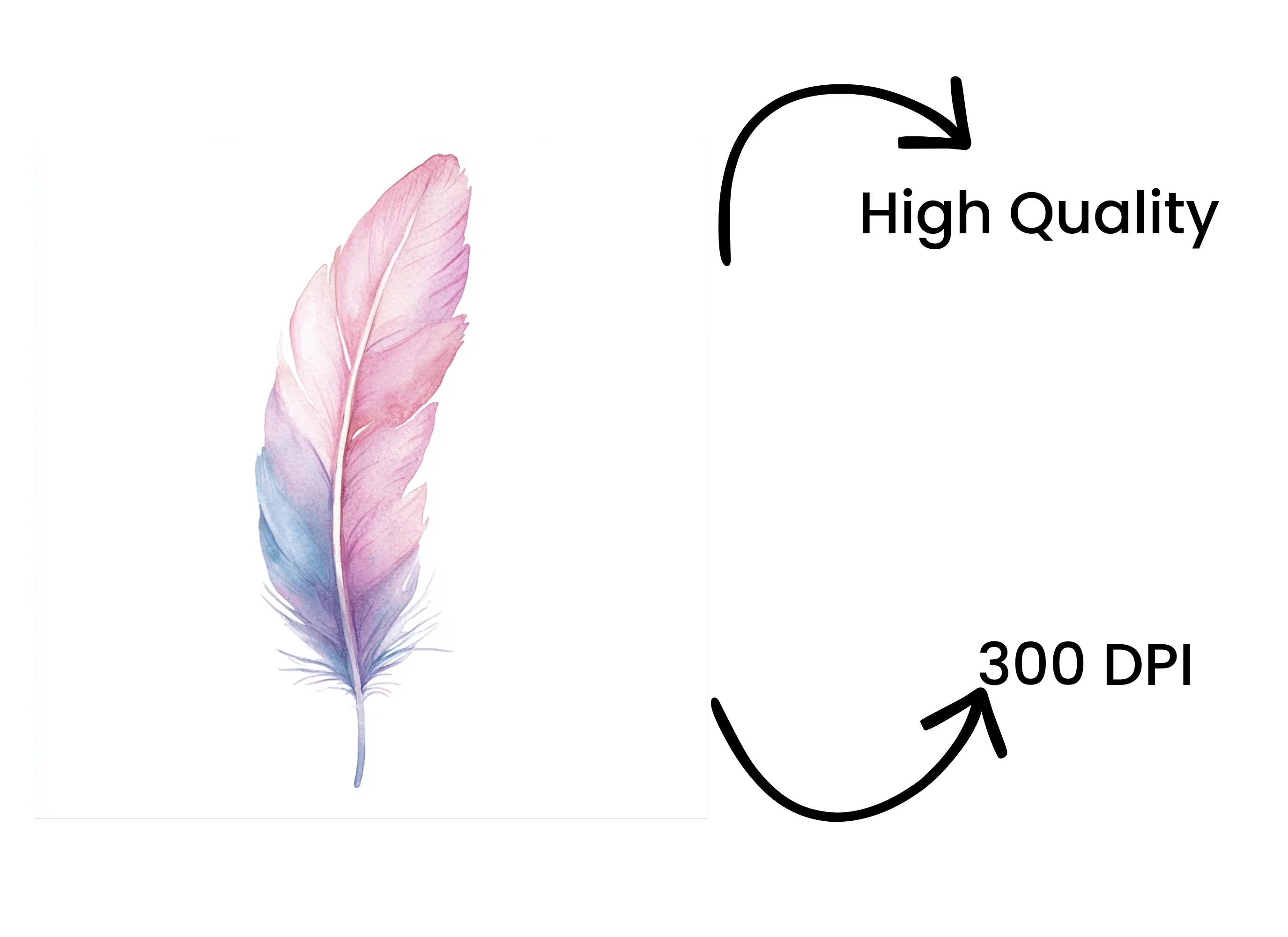 Pastel Feather Clipart Bundle