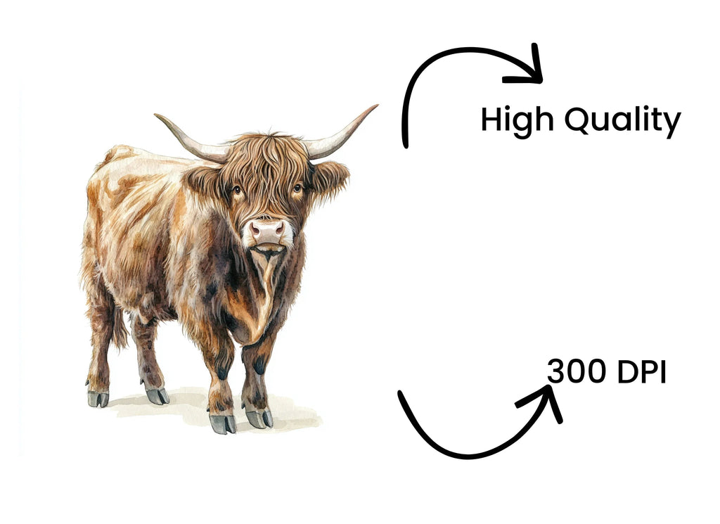 Majestic Highland Cattle Clipart Bundle