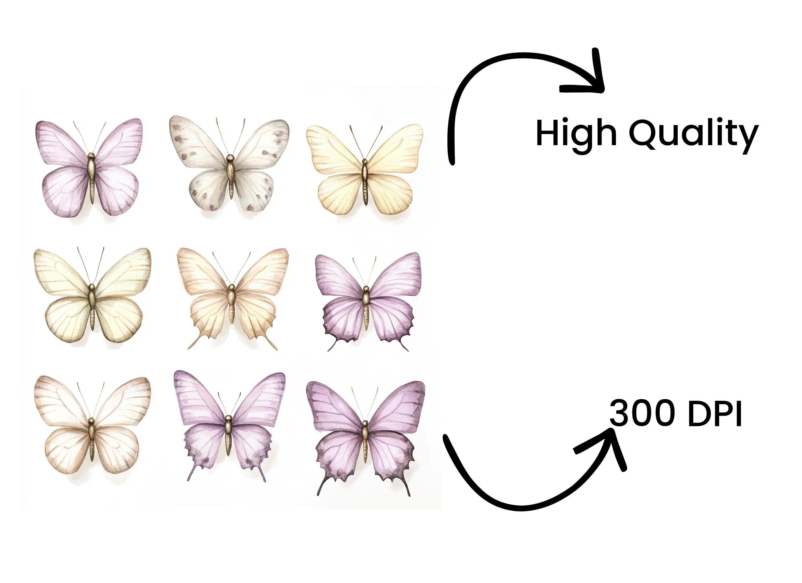 Elegant Butterfly Clipart Bundle