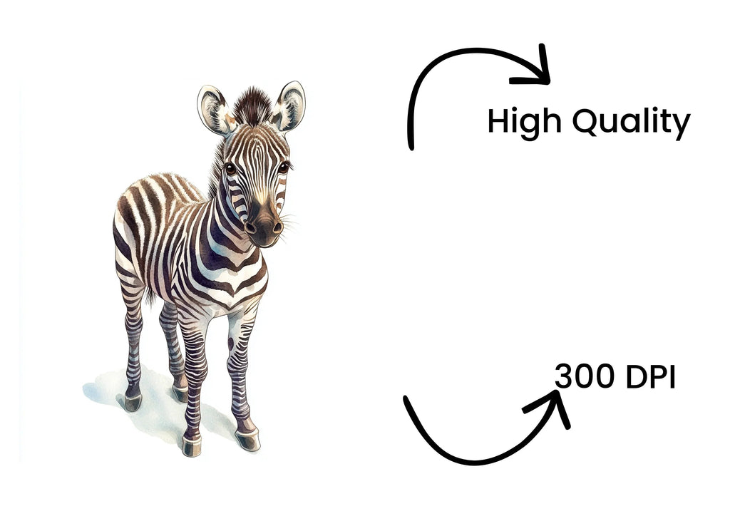 Cute Baby Zebra Clipart Bundle