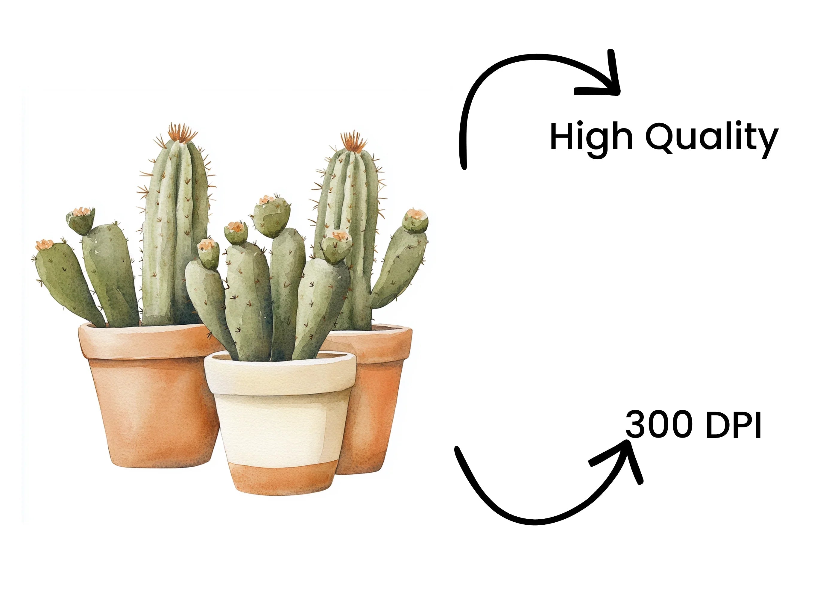 Cactus Clipart Bundle