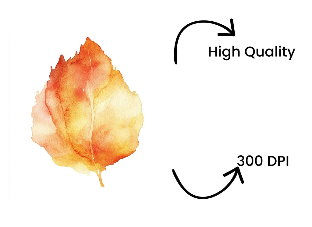 Autumn Leaf Clipart Bundle