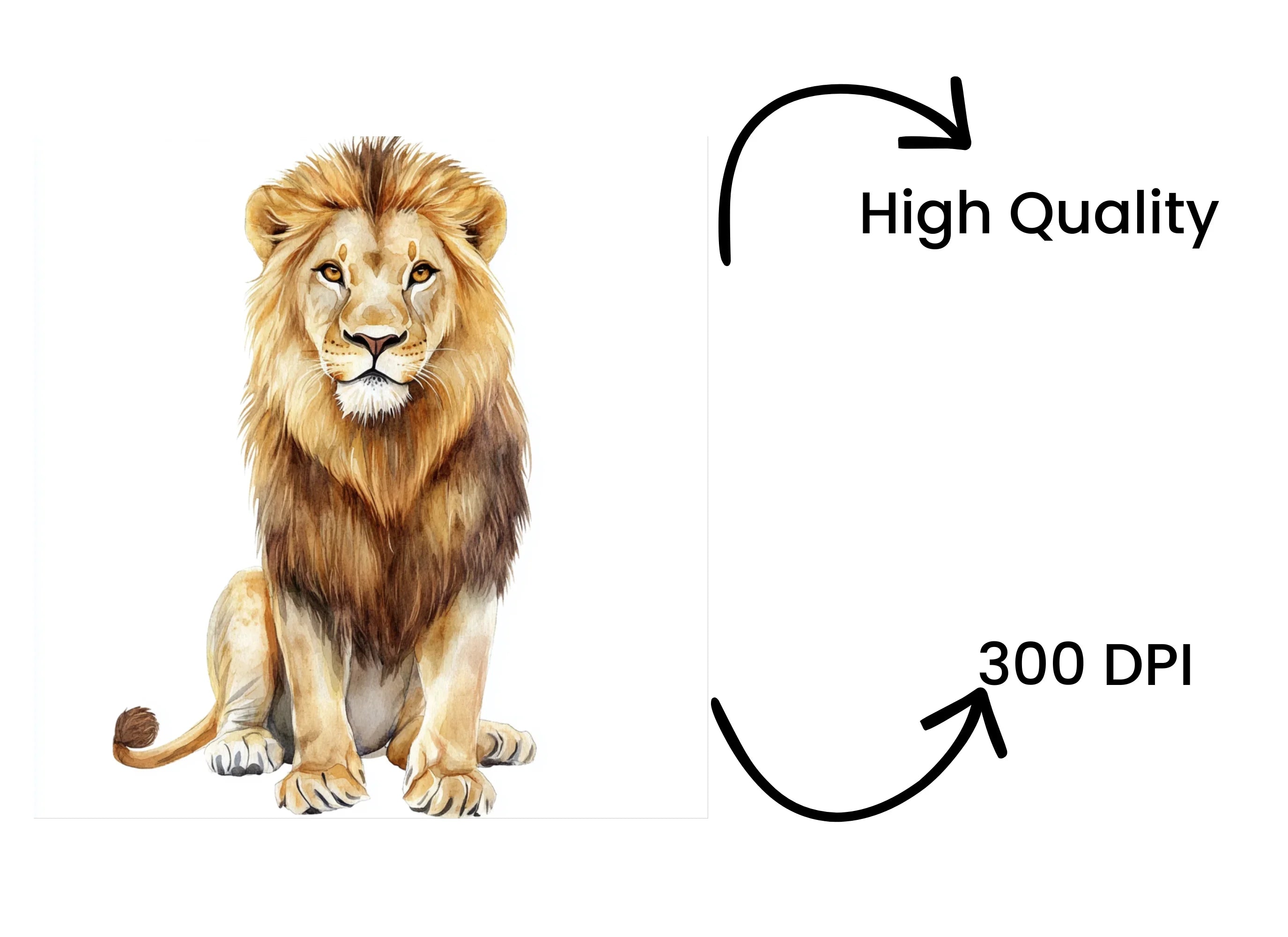 Majestic Lion Clipart Bundle