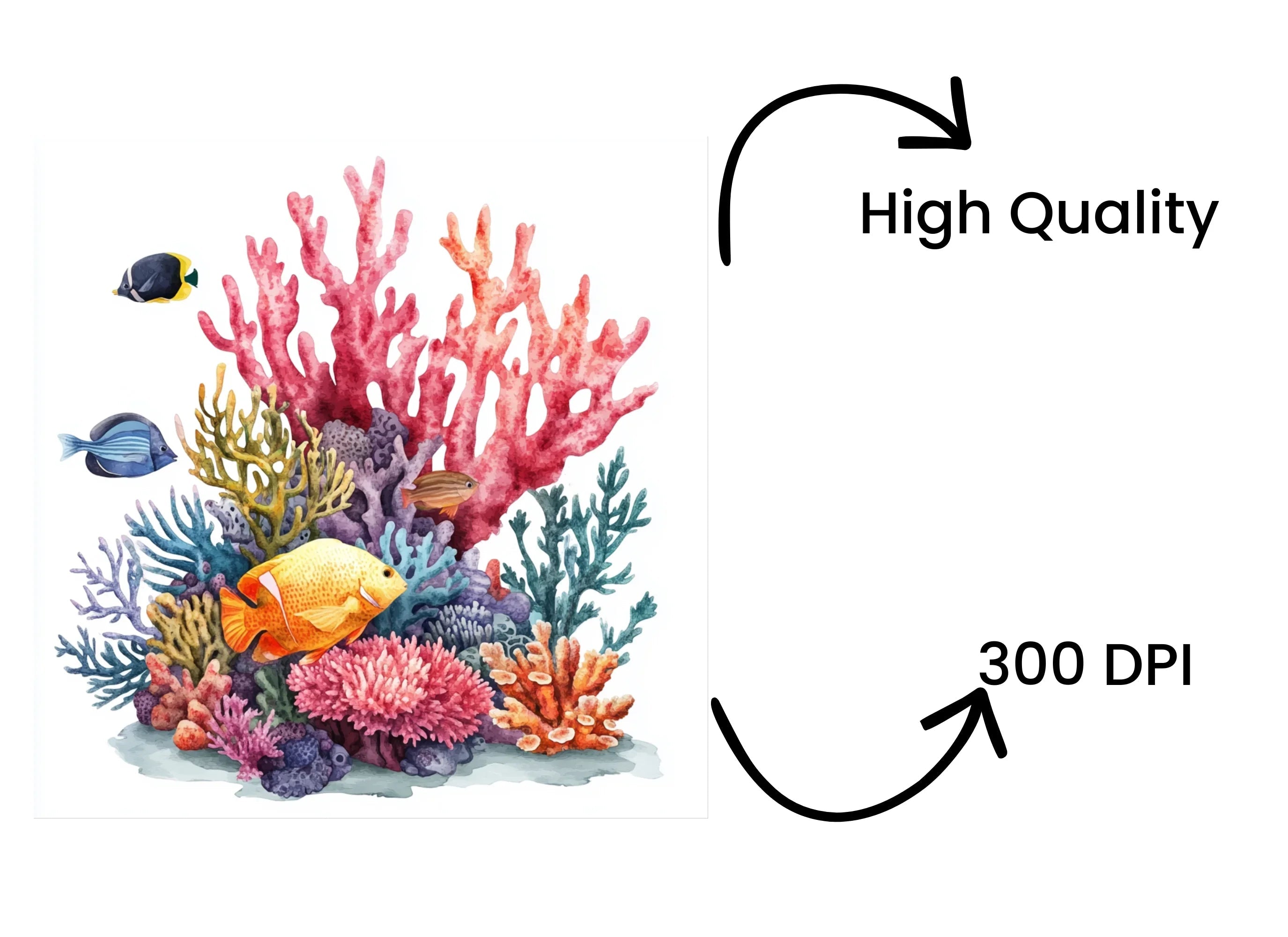 Vibrant Coral Reef Clipart Bundle