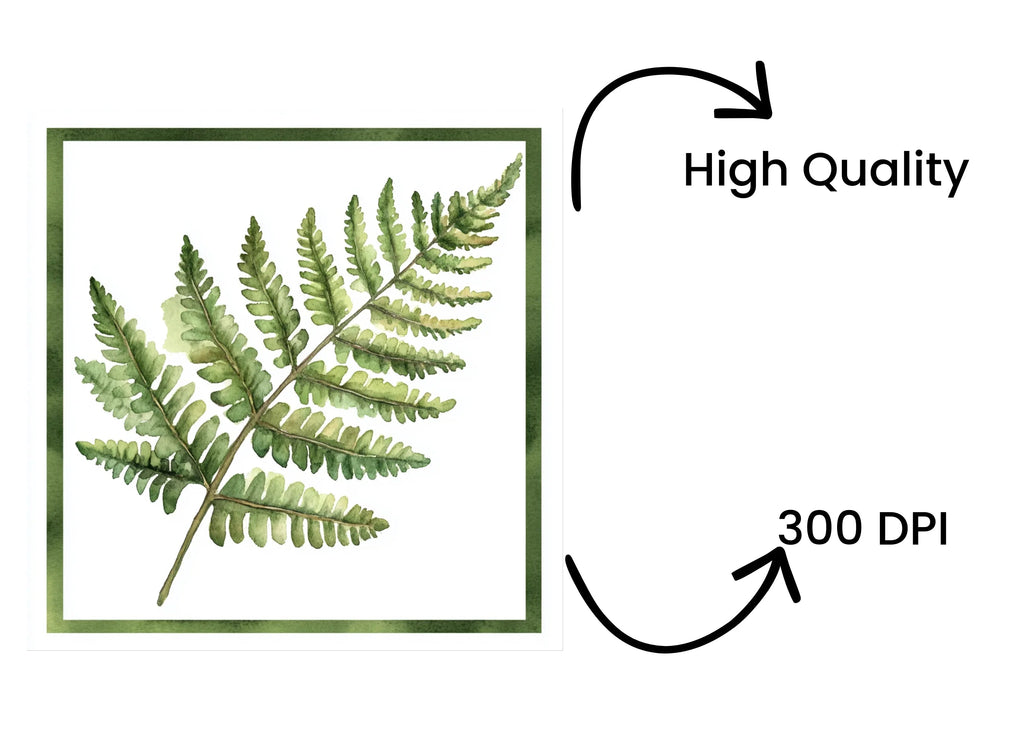 Fern Clipart Bundle