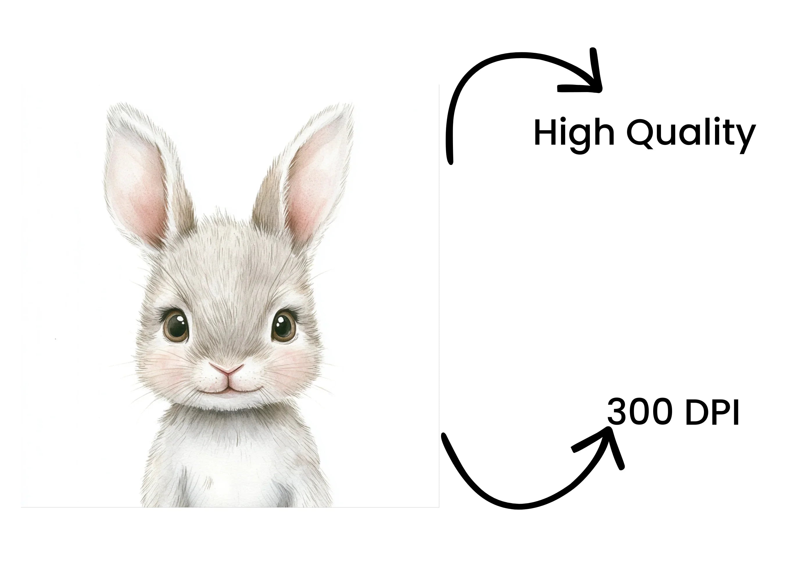Cute Baby Bunny Faces Clipart Bundle