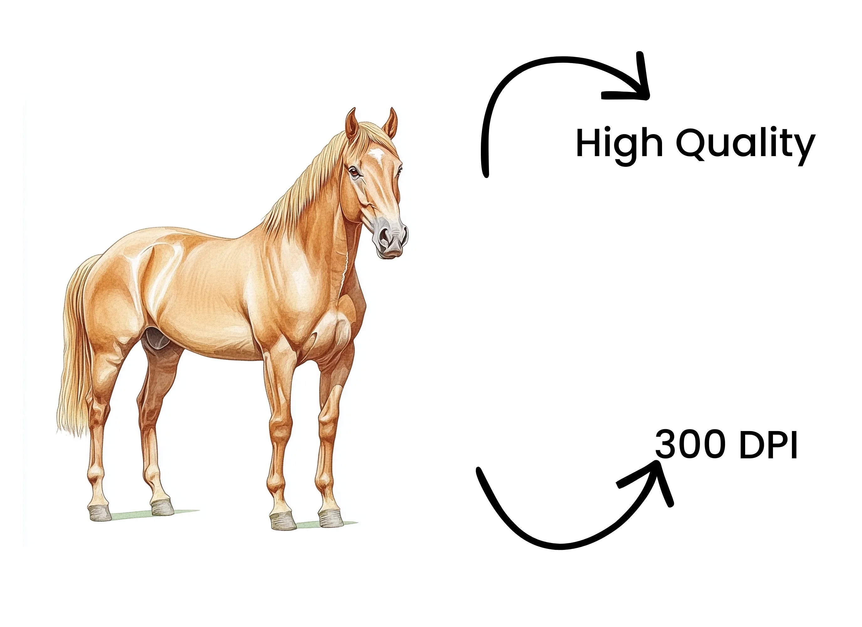 Majestic Palomino Horse Clipart Bundle
