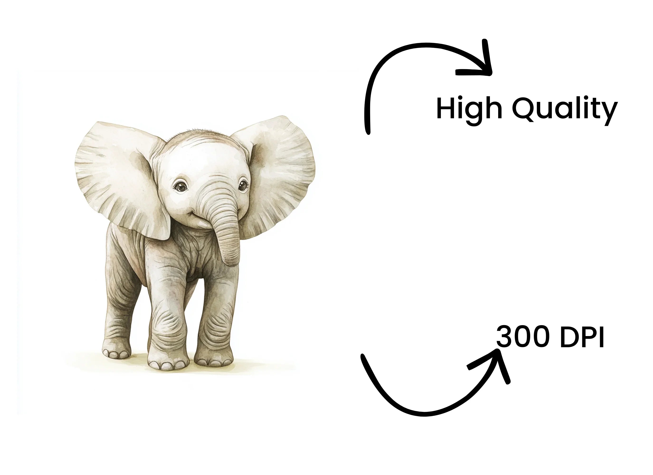 Baby Elephant Clipart Bundle