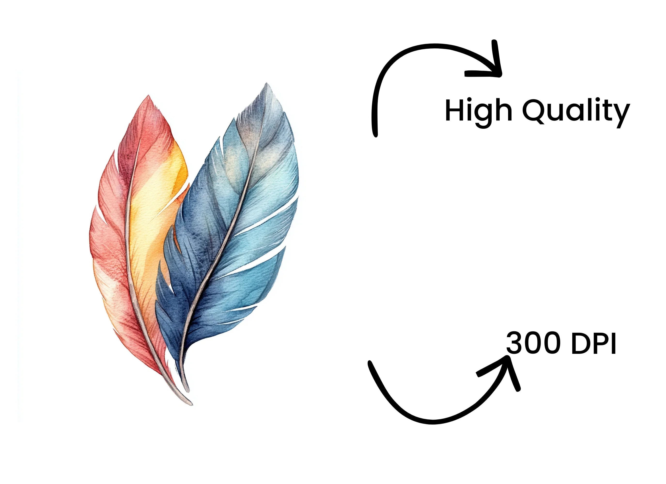 Colorful Feather Clipart Bundle