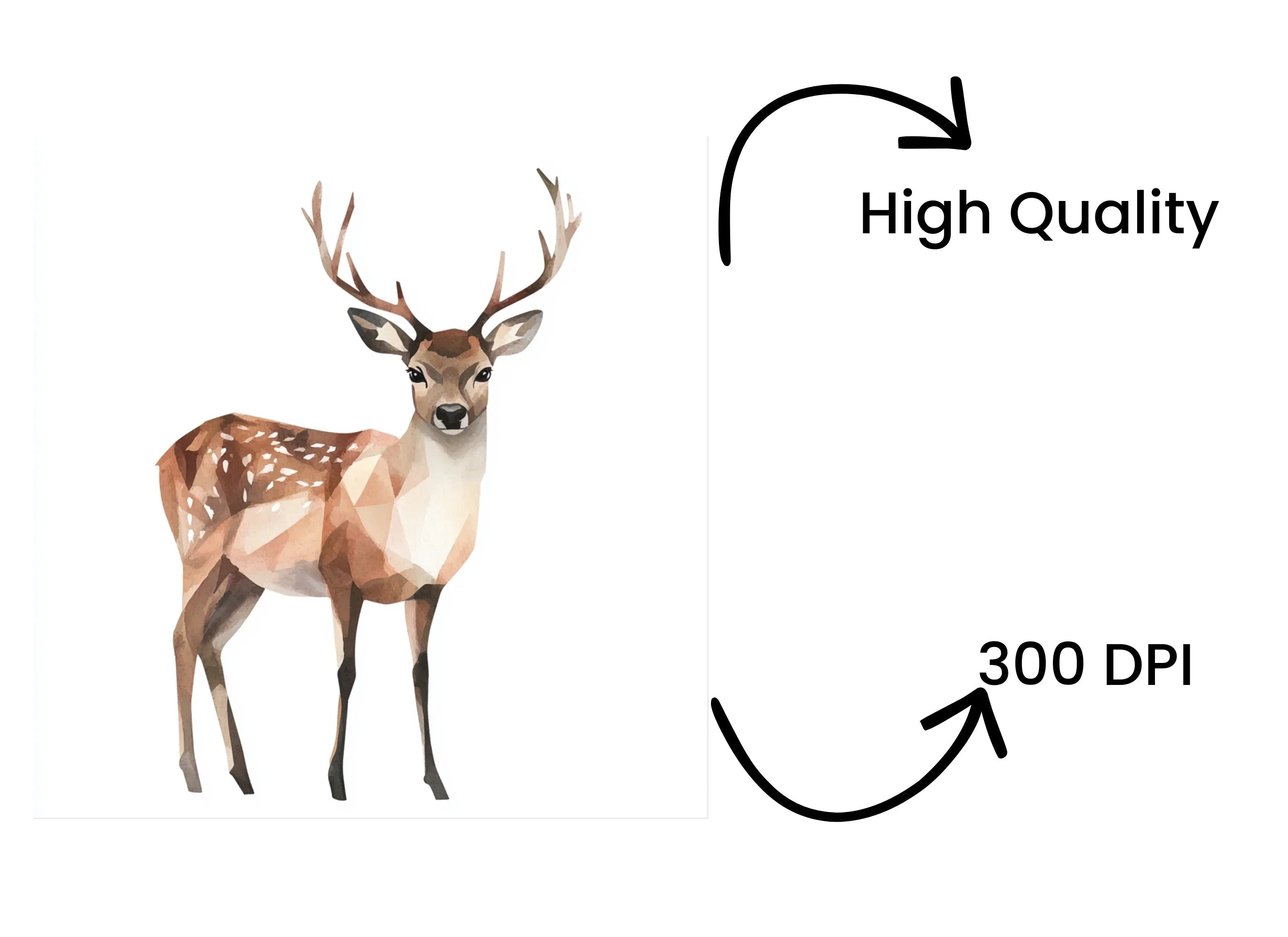 Polygonal Deer Illustrations Clipart Bundle