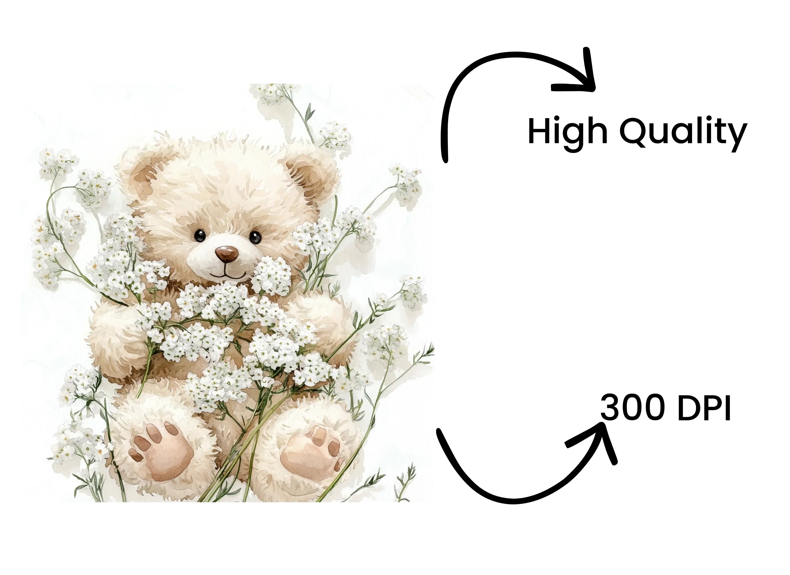 Teddy Bear with Baby Breath Clipart Bundle