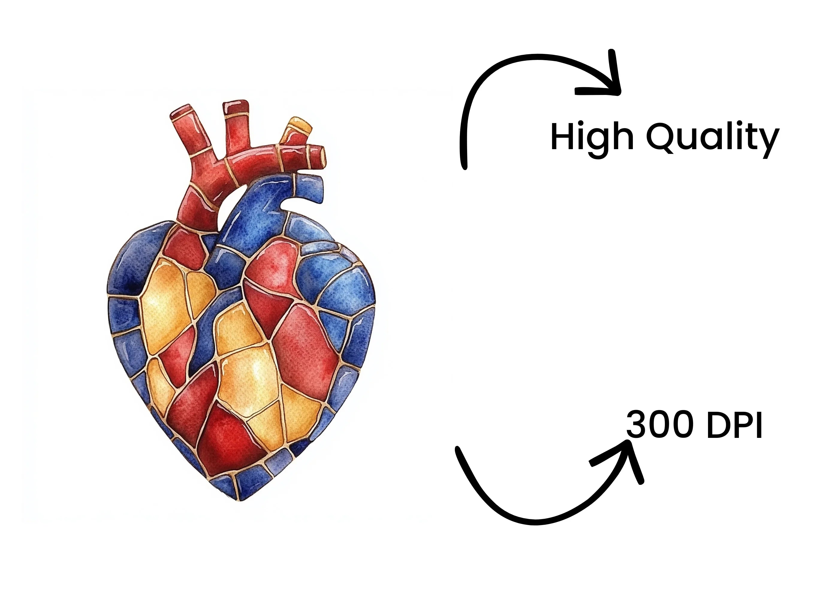 Anatomical Stained Glass Heart Clipart Bundle