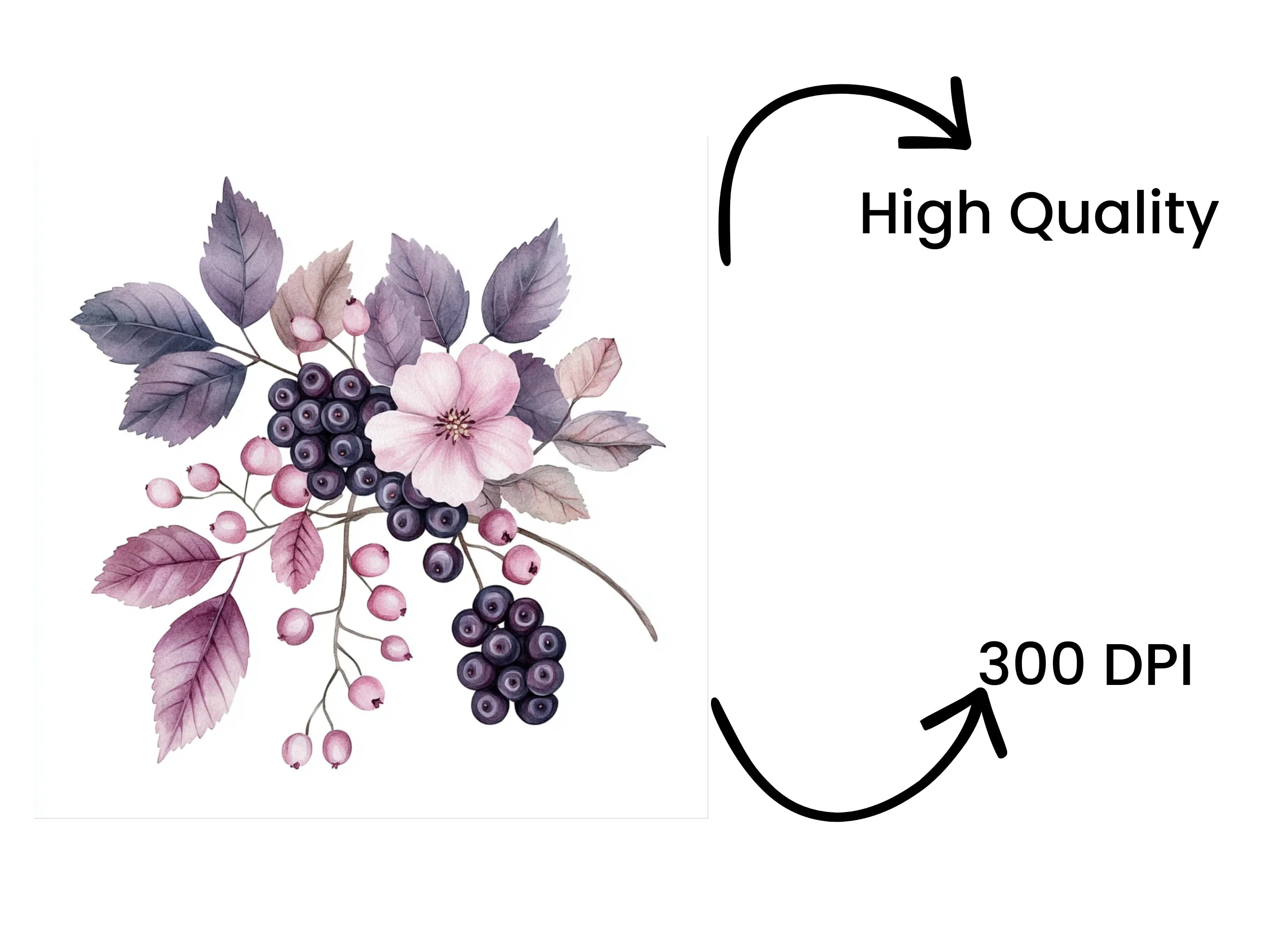 Berry Floral Clipart Bundle
