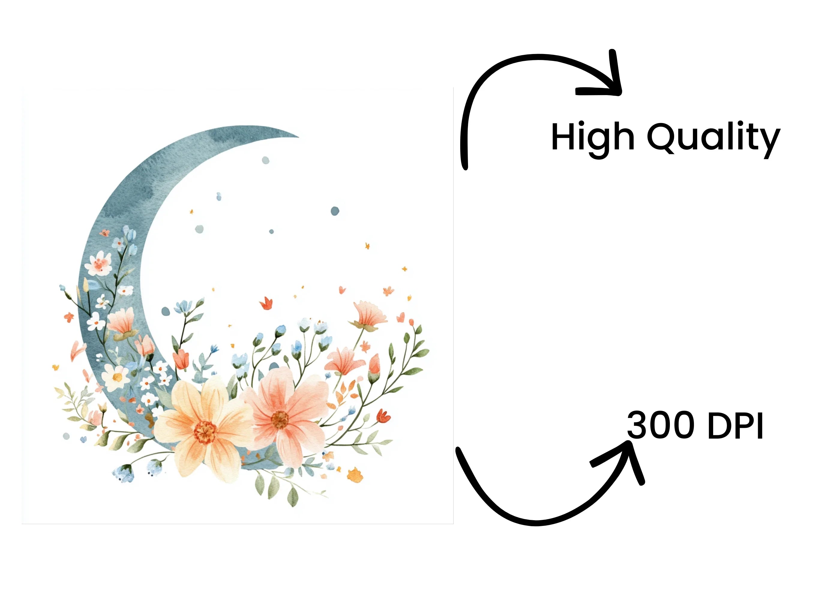 Floral Moon Clipart Bundle