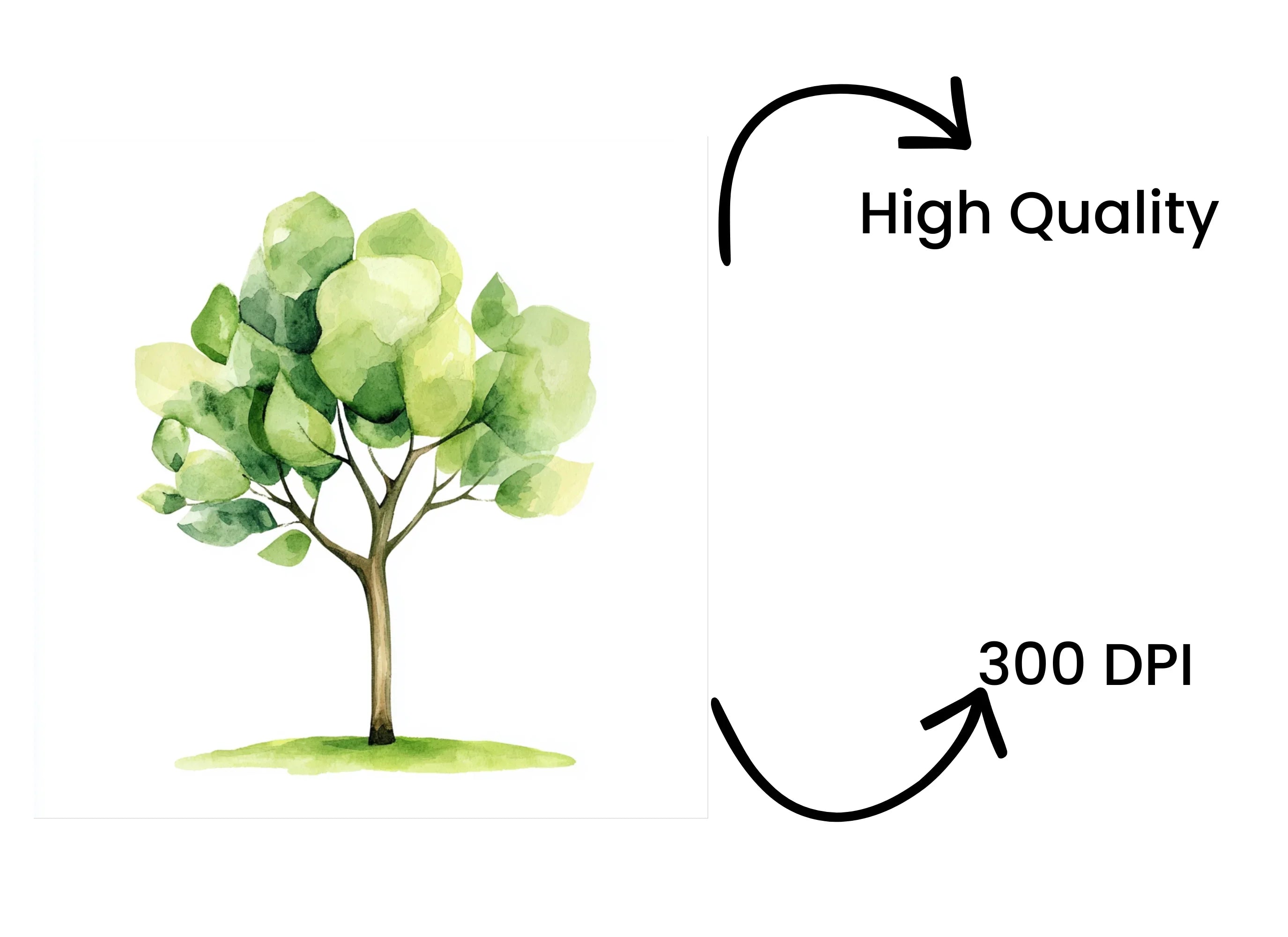Trees Clipart Bundle