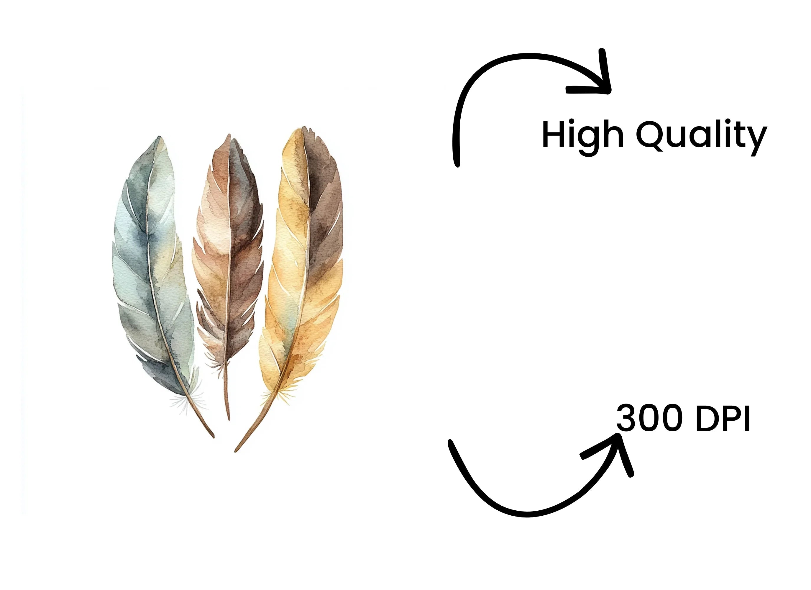 Natural Feather Clipart Bundle