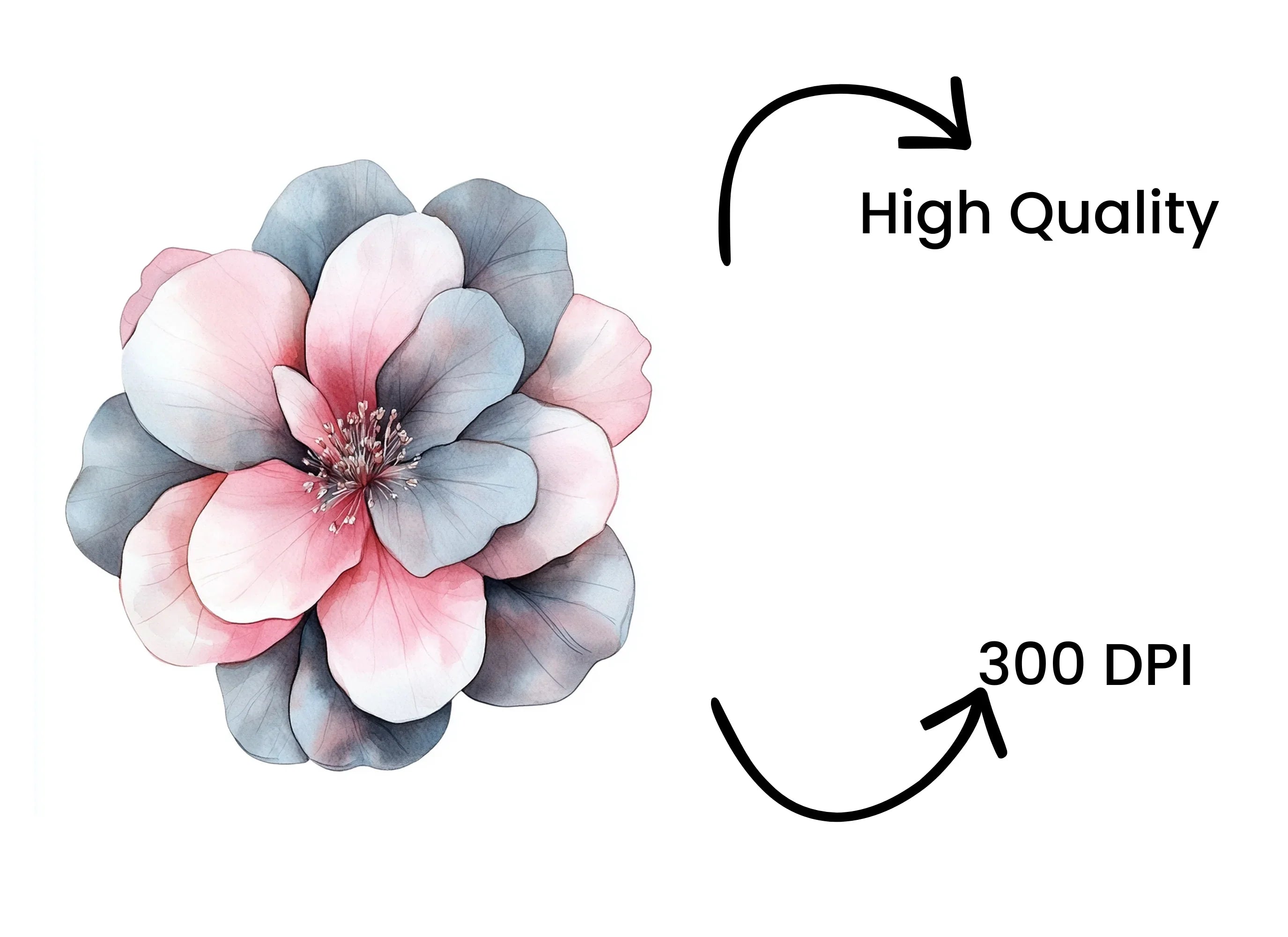 Pink and Grey Flowers Clipart Bundle