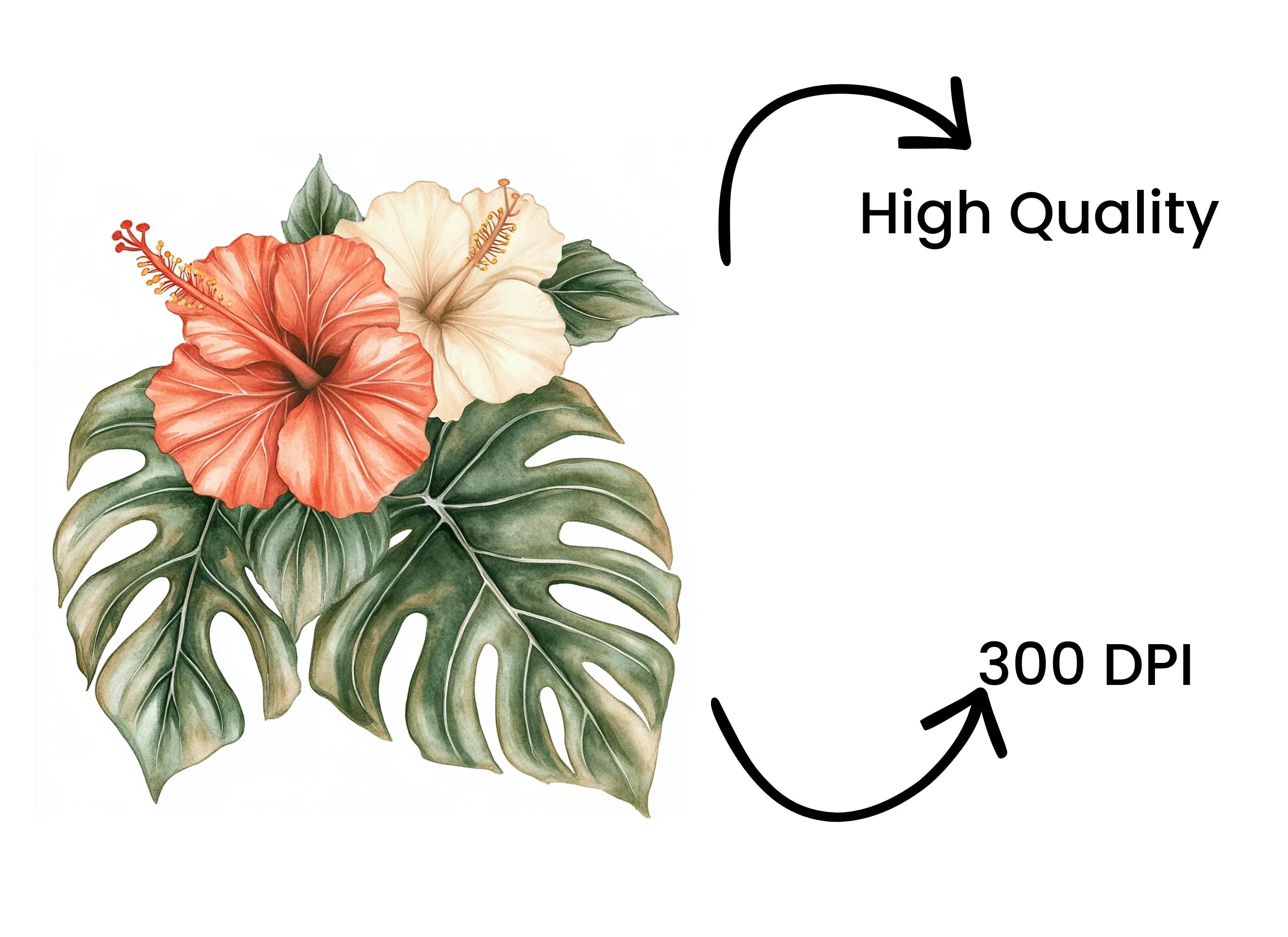 Vibrant Hibiscus Monstera Leaf Clipart Bundle