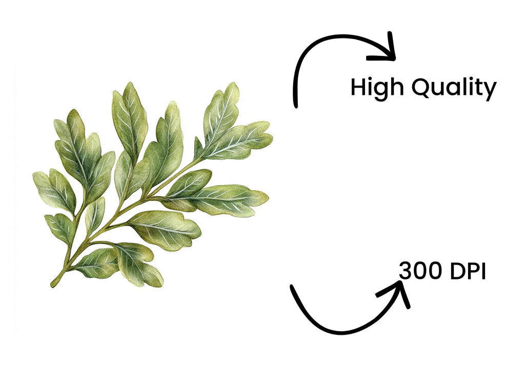 Green Leaves Clipart Bundle