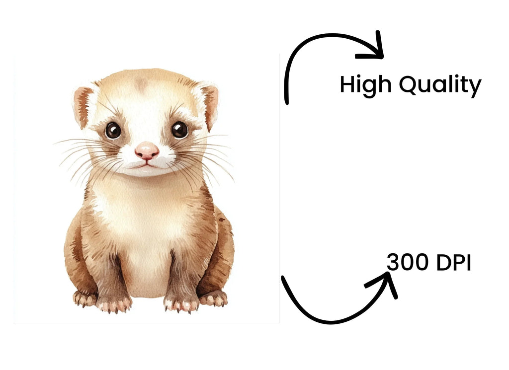 Adorable Ferret Clipart Bundle