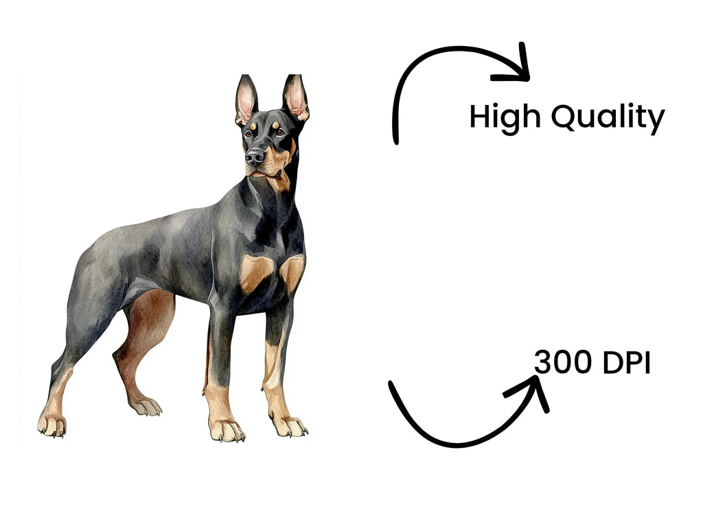 Elegant Doberman Dog Clipart Bundle