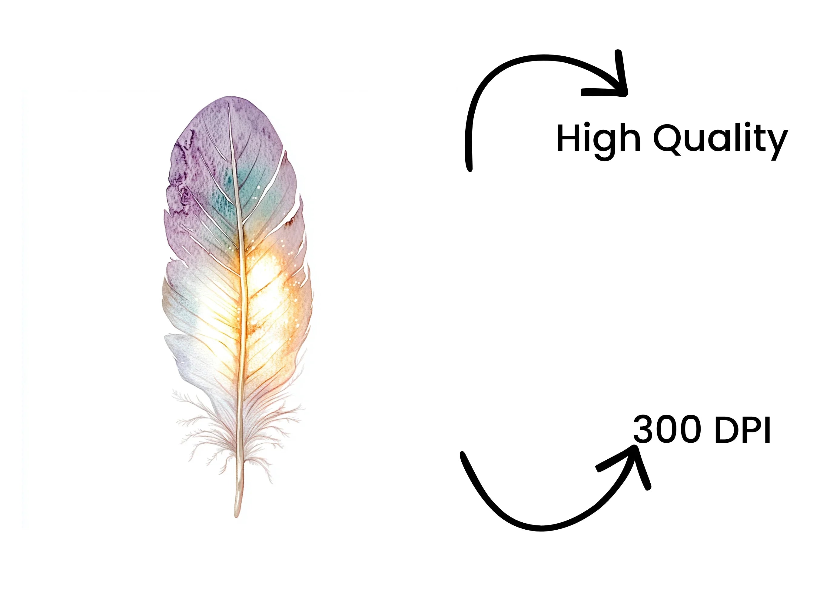 Vibrant Feather Clipart Bundle