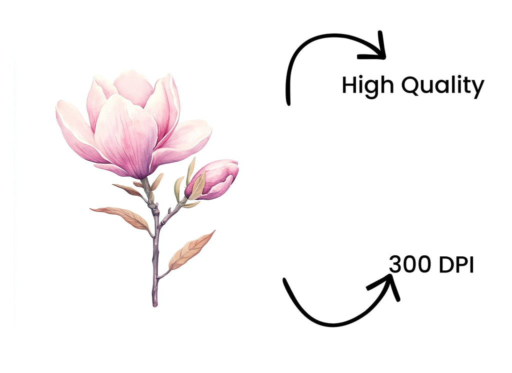 Pink Magnolia Flower Clipart Bundle